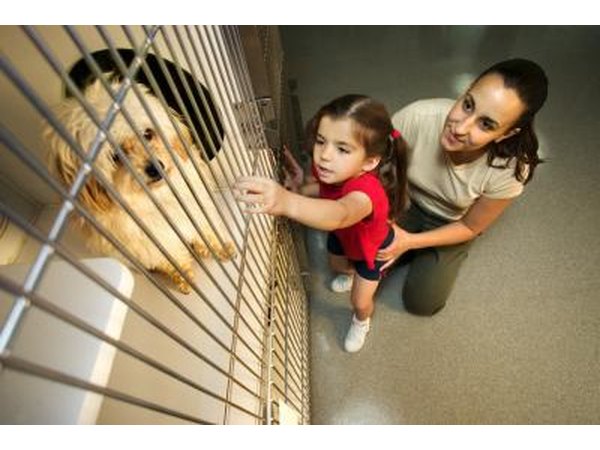 Mother and daughter looking at dog in shelter.