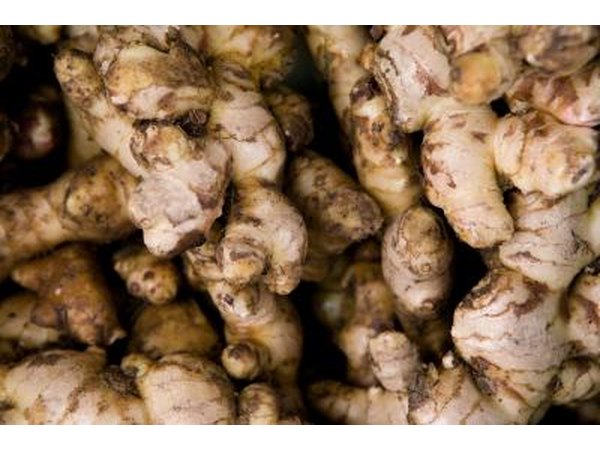 Ginger