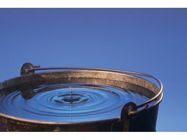 Soak shells in a bucket of bleach and water for several hours.