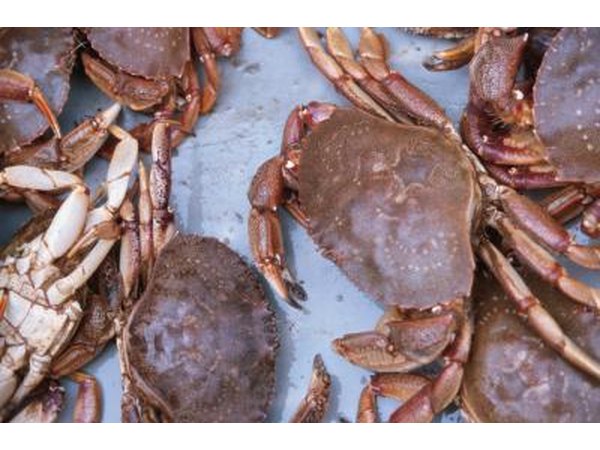 Shellfish will last up to three days