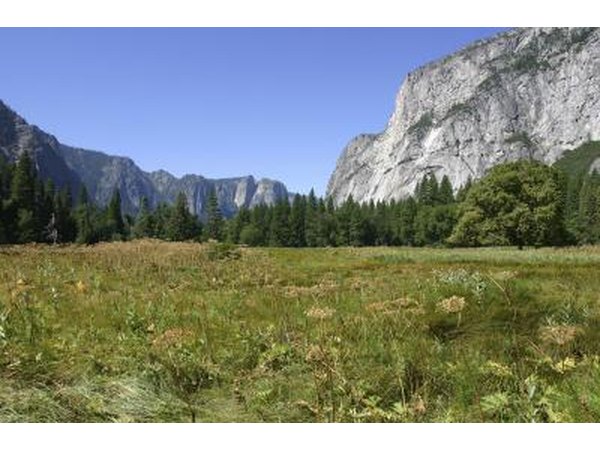 A mountain valley in the Sierra Nevada.