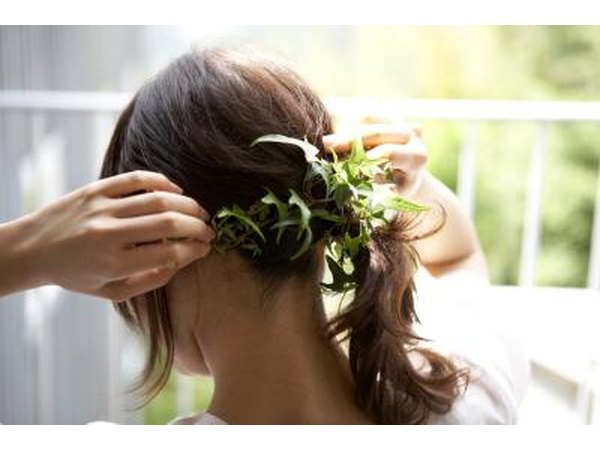 Fasten the ivy in her hair.