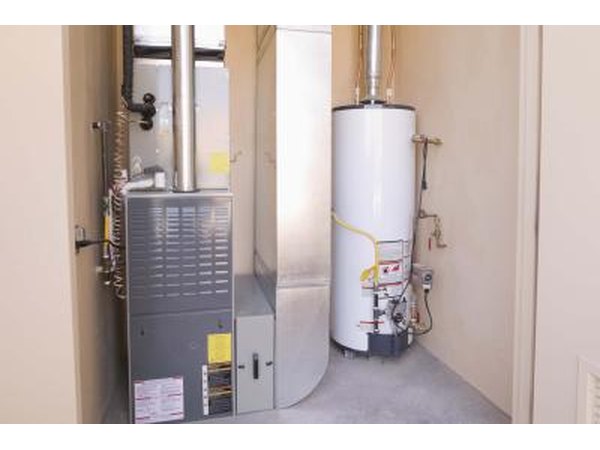 Observe common mold and mild areas around your house such as the basement where you could find signs of mold and mildew