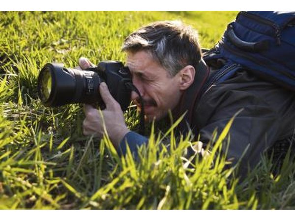 Wildlife photographer.
