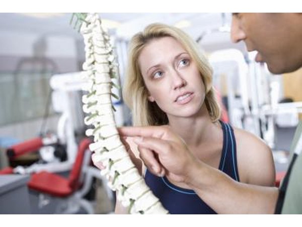 The C8 nerve is located on the spinal cord.