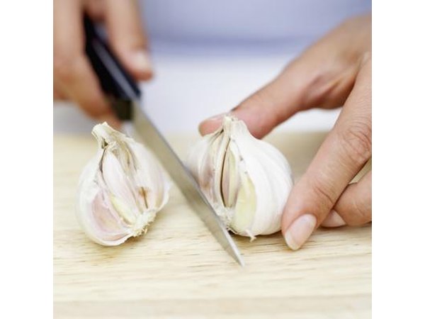 Garlic