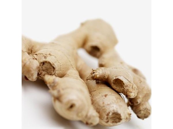 Ginger