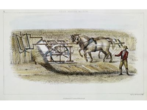 Mechanization of farming helped the North maintain food crops during the war