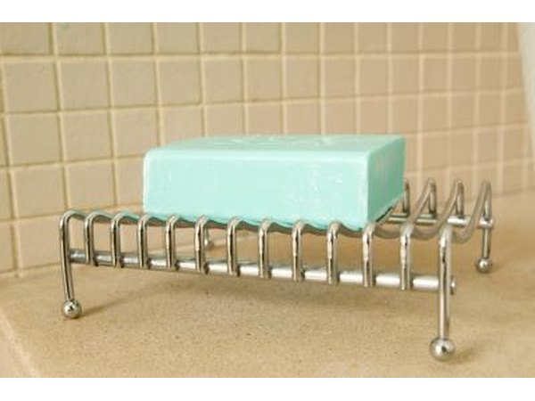 A bar of soap is food for a German cockroach.