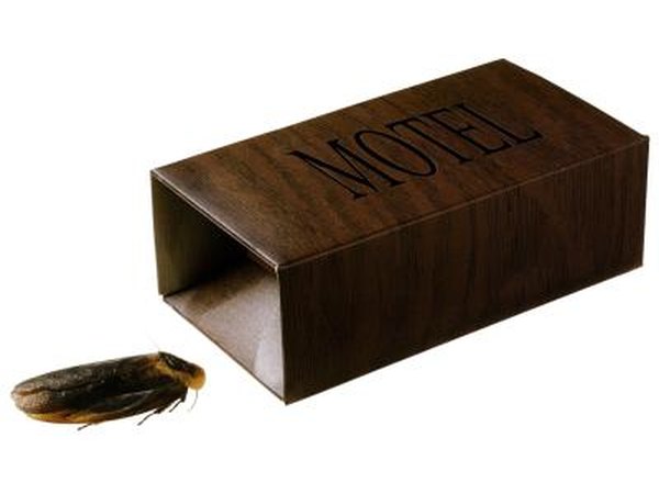 Roach motel.