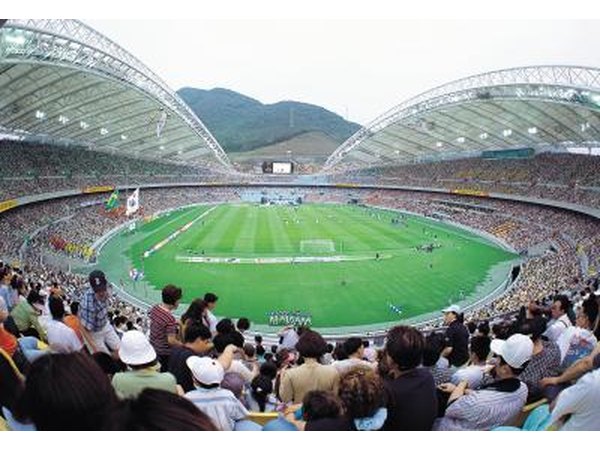 Fans at stadium game