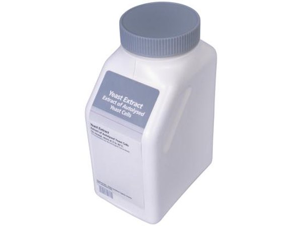 Rich in nutrients and B vitamins that stimulate the appetite, brewer's yeast contains beneficial bacteria.