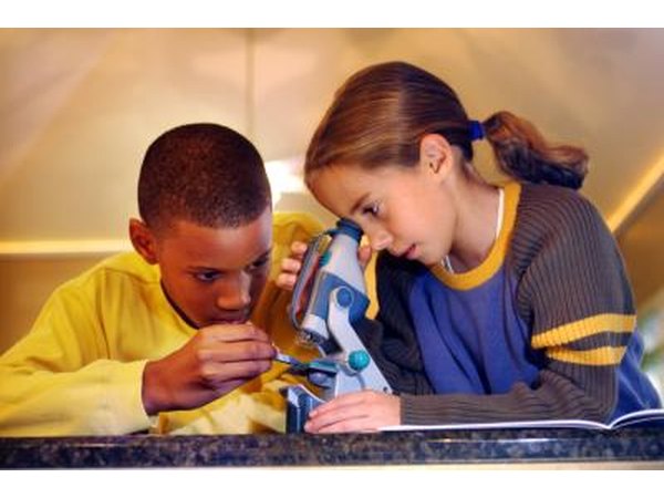 Young boy and girl looking through a microscope.