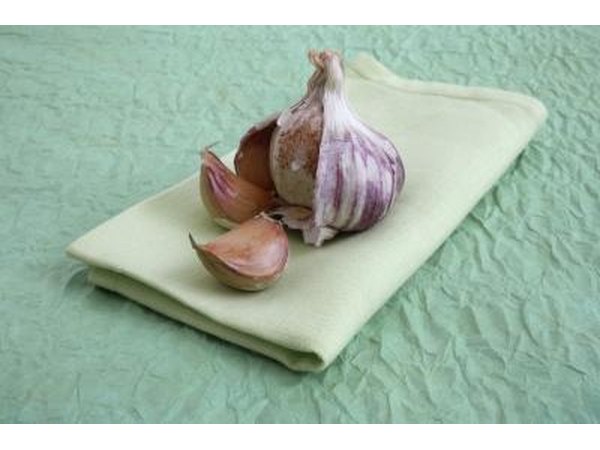 Garlic bulb and cloves on napkin