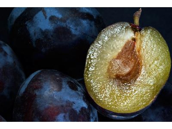 Cross section of a prune