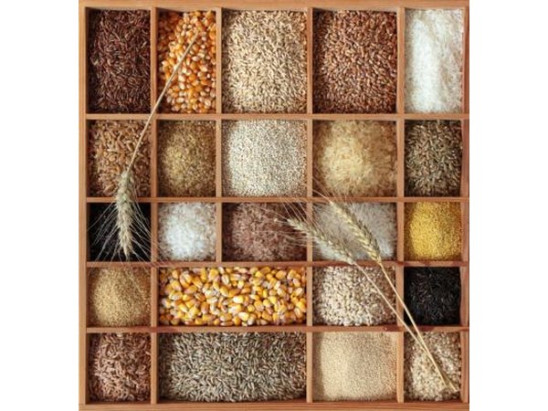 Cereals and grains overview.