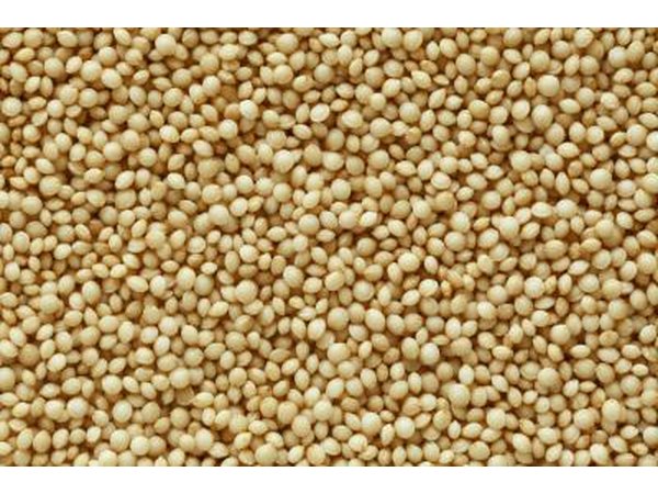 Close up of nutrients that contain large amounts of Lysine