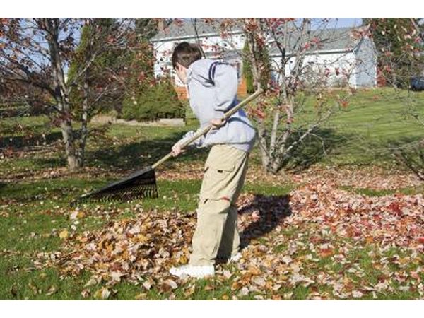 Raking leaves is another way to earn money.