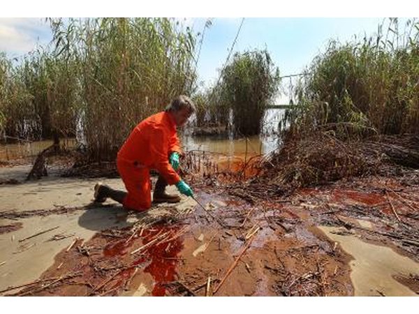 Biologist at the site of an oil spill