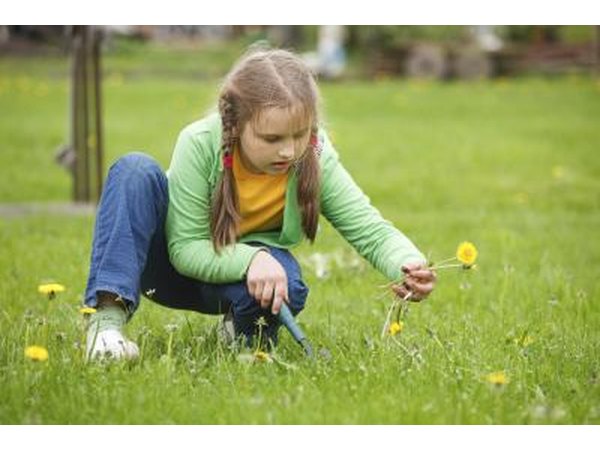 Kids can earn money pulling weeds.
