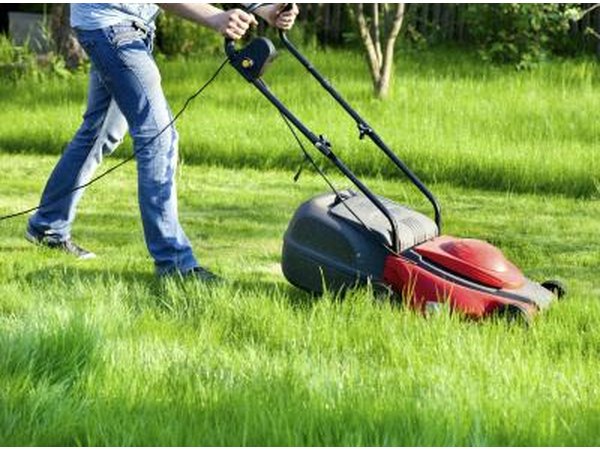 Man with electric lawn mower