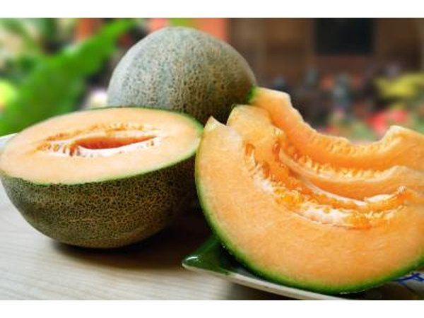 Cantaloupe