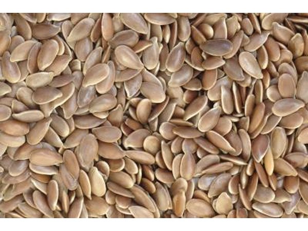 close up of flax seeds