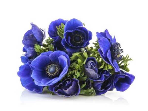 Use blue flowers.