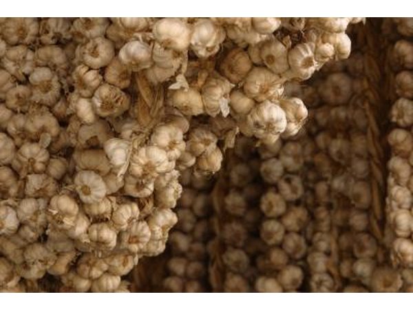 Garlic cloves