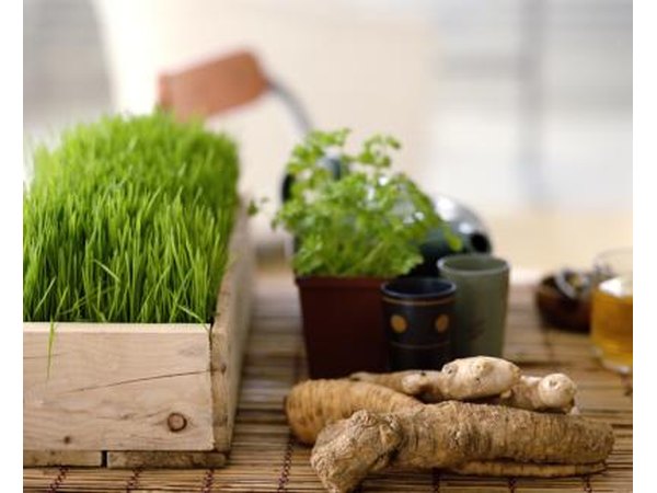 Consider herbs.