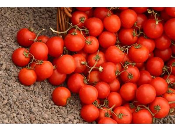 Tomatoes