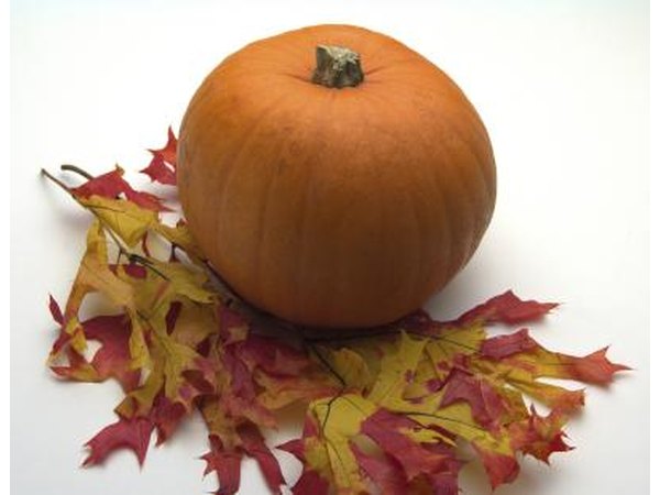 Fall leaves.