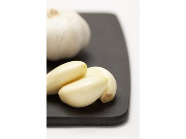 garlic
