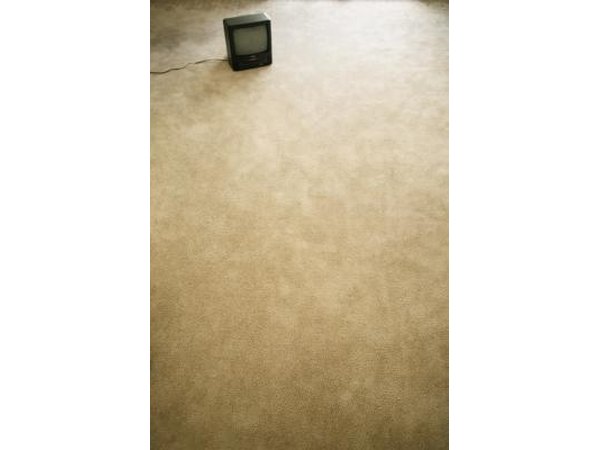 Carpet in empty room