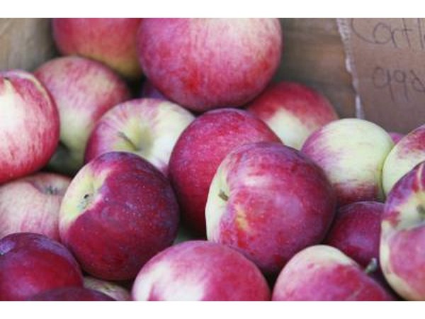box of Cortland apples
