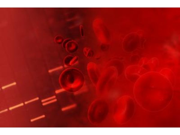 red blood cells