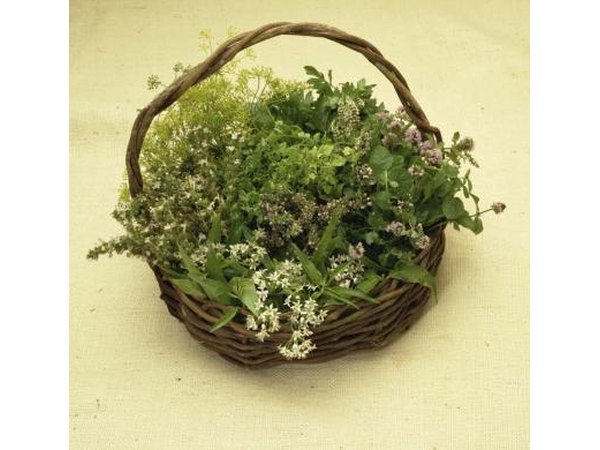 Fresh herbs