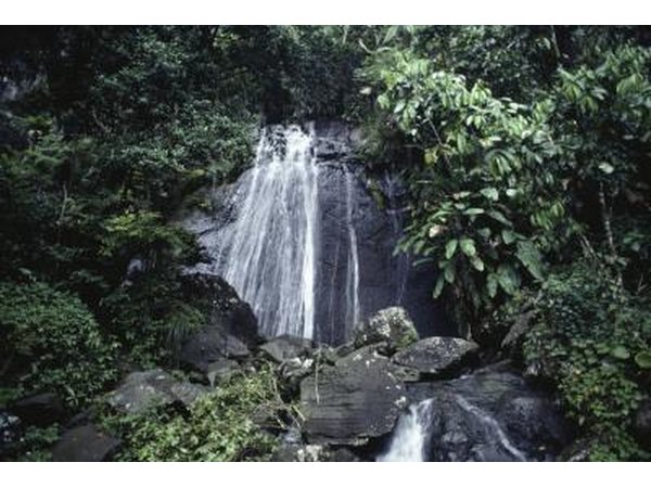 Dominica.