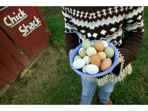 Woman carrying bowl of eggs