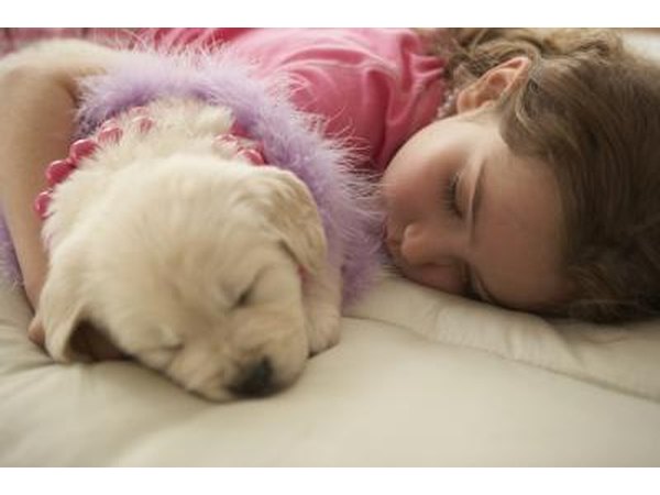 Avoid using ammonia to clean your carpets.
