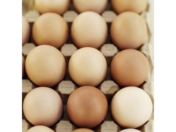 Pack on Protein