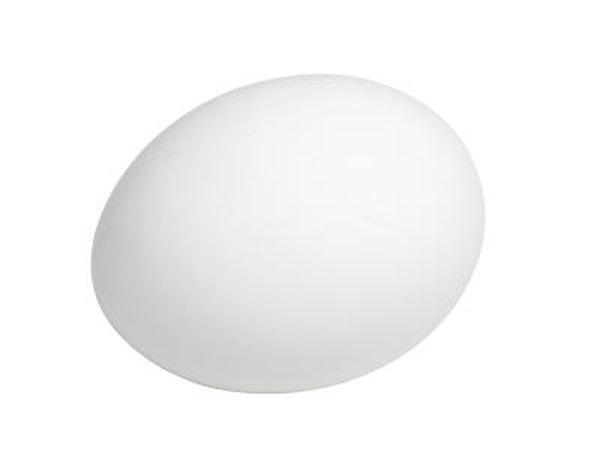 Hard boiled egg.