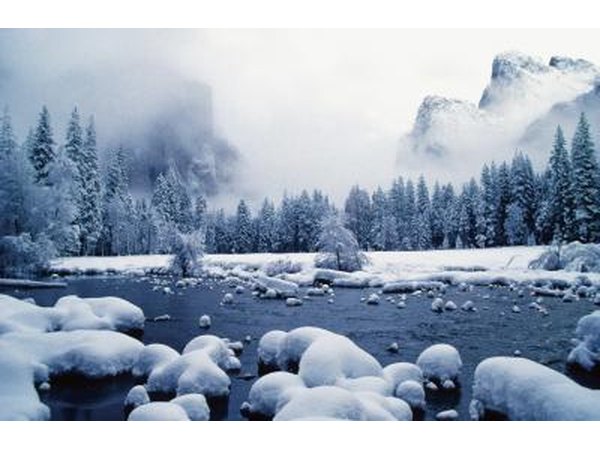 Let snow and ice-covered trees inspire your centerpieces