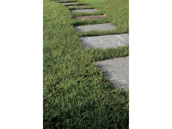 Even cement looks better made into stepping-stones.