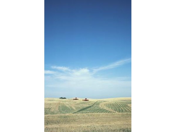 Alberta