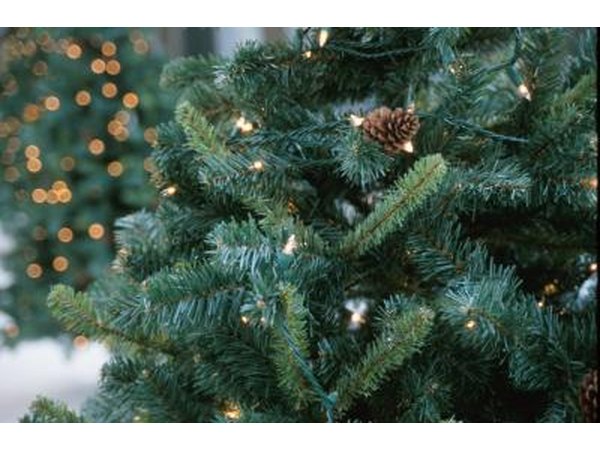 Outdoor Christmas lights on tree