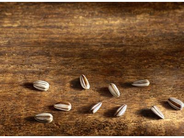 Sunflower seeds are very high in vitamin E.