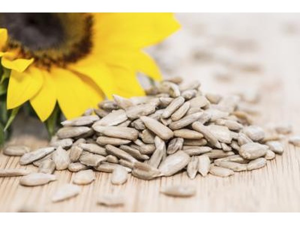 sunflower seeds and nuts make excellent toppings