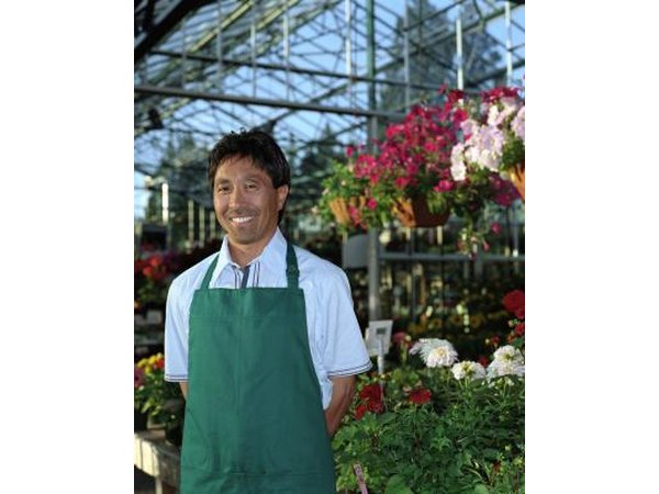 A rigid-framed greenhouse has vertical side walls, gabled roof and solid glass sheathing.