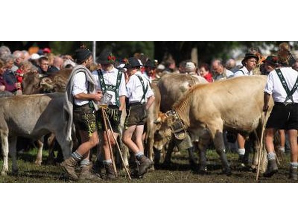 Swiss men in traditional clothing